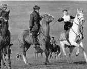 Хроника кино