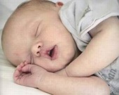 Дочь Анджелины Джоли стала моделью