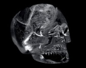 Поклонники "Индианы" украли череп