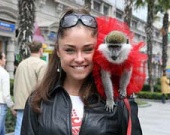 Мисс Украина отправилась покорять Голливуд