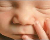 Майкл Джексон хочет усыновить японского ребенка