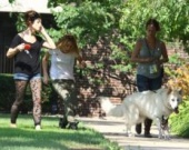 Эшли Грин и Майли Сайрус познакомили своих собак