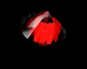 Стефени Мaйер обвиняют в плагиате