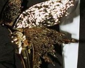 В Москве вручат кинопремию Ника