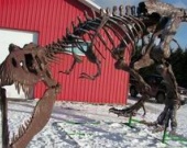 Мы с Тамарой ходим парой