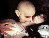 Кровососы атакуют!