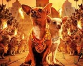 "Собачья" комедия стала лидером