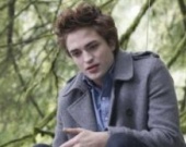 Звезду "Сумерек" сбила машина