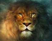 "Хроники Нарнии 2, 3, 4..."