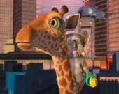 Кто выпустил зверей из зоопарка?