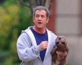 Мелу Гибсону пообещали номинацию на "Оскар"