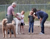 Брук Шилдс и ее девчонки