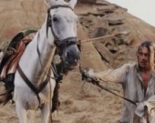 Джонни Депп "примерит" роль Санчо Пансы