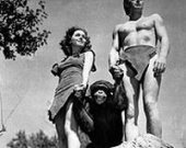 Сын Тарзана судится за набедренную повязку отца