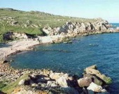 Съемки российского фильма нанесли ущерб украинской экологии