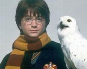 Спасите Гарри Поттера!