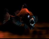 Мелкие рыбки