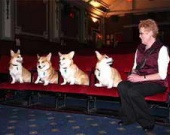 Фильм "Королева" получил собачьи премии