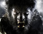 Бенисио Дель Торо заставили ходить на четырех лапах