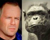 На каких животных похожи звезды