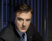 Единственный мужчина Рене Зельвегер