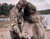 Машков укротил медведя