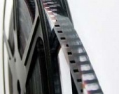 Ник Кассаветис расскажет о диких животных