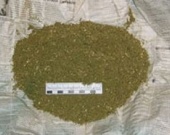 Родственник Олега Янковского задержан за наркоторговлю