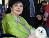 Элизабет Тейлор приписали чужую болезнь