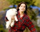 Сандра Баллок вернется к режиссеру "Предложения"