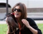 Пополнение в семье Джорджа Клуни