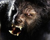 "Человек-волк" выйдет на экраны только в будущем году