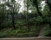 Орландо Блум покрасил свой дом в черный цвет