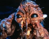 Кроненберг снимет ремейк "Мухи"