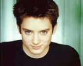 Элайджа Вуд решил помогать бездомным животным