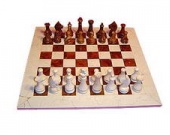 Боннэр и Ганц за шахматной доской