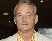 Билл Мюррэй напряжет извилины