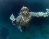 Оператор "Человека-амфибии" получил орден