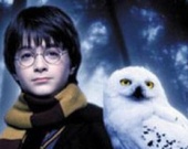 Из-за Гарри Поттера исчезают совы