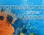 Любимые фильмы Гитлера появятся в украинском прокате