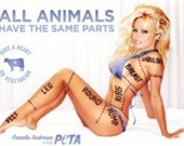 Памела Андерсон под запретом