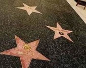 Звезды для звезд