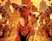 Голливудских песиков увековечат