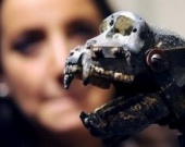 Кинг Конга продали за 0 тысяч