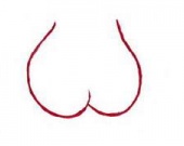 Уинслет продает собственную задницу