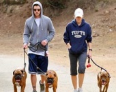 Отношения Тимберлейка и Бил под угрозой Отношения Тимберлейка и Бил под угрозой