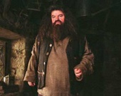 Полиция ищет вора при помощи "Гарри Поттера"