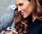 Два проекта Хилари Суонк