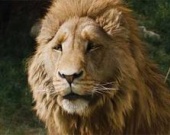 Walt Disney сменила режиссера "Хроник Нарнии"