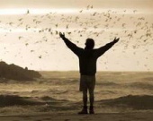 Десять лучших фильмов года